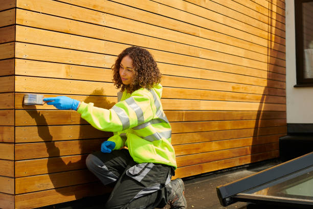 Best Storm Damage Siding Repair  in Spring Park, MN